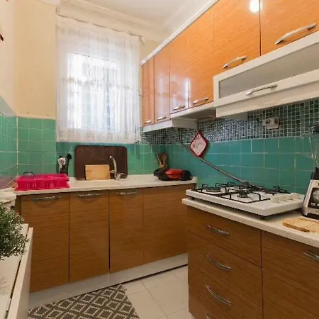 公寓 Zentrale Ferienwohnung Mit Meeresblick Nahe Taksim Und Galataturm 伊斯坦布尔